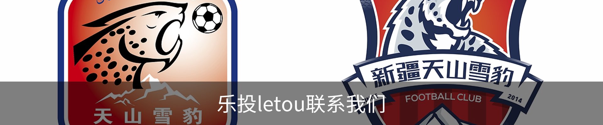 乐投letou联系我们